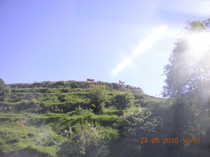 DSCN0851
