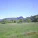 DSCN0852