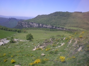 DSCN0867