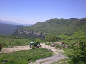 DSCN0866