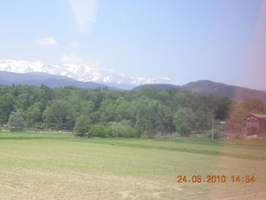 DSCN0882