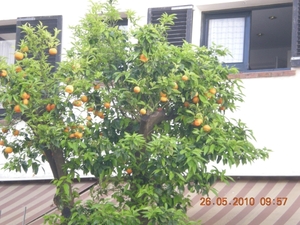 DSCN0898