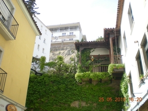 DSCN0897