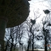 DSCN0689