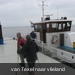 texel 002