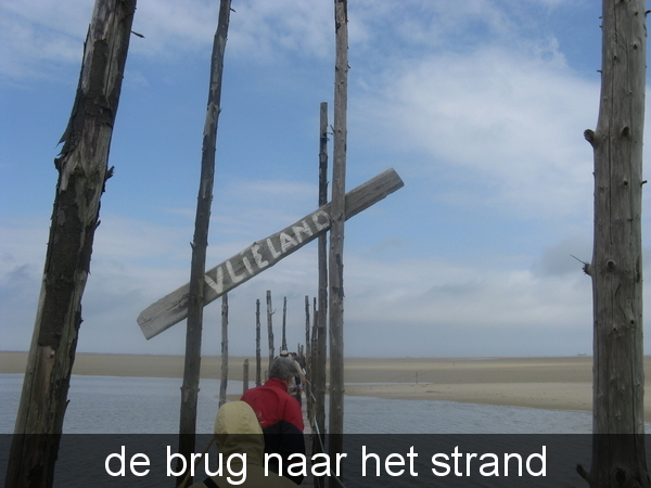 texel 008