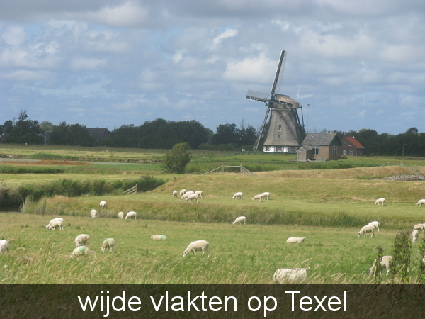texel 029