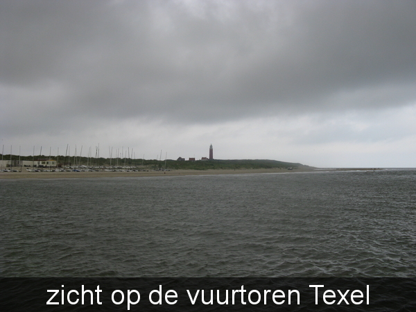 texel 006