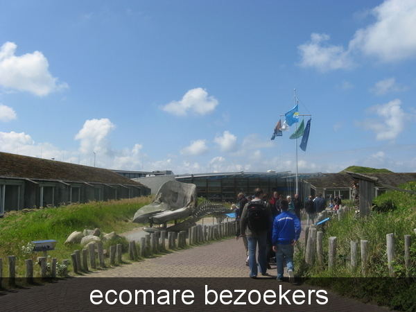 texel 025