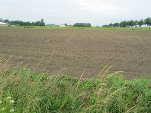 Landbouwgrond in Vrasene