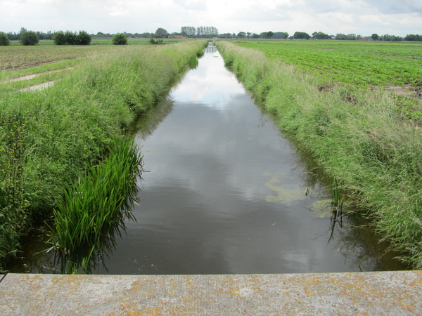 Polderlandschap