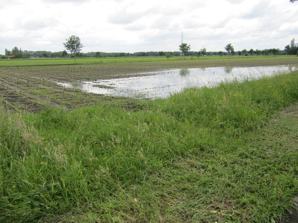 Polder