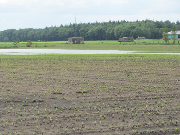 Polder