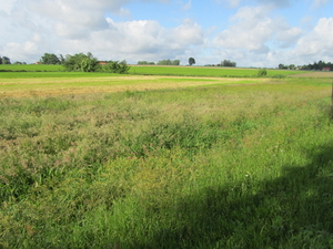 Op weg naar Pollinkhove