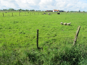 Onderweg naar Pollinkhove