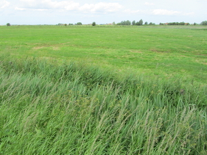 Terug landschap