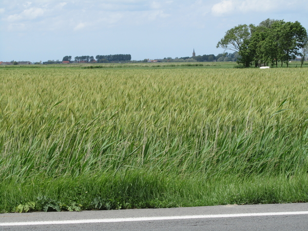 Onderweg naar Pollinkhove