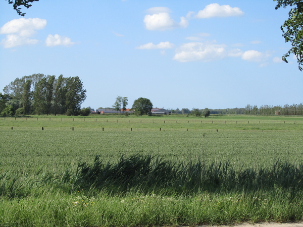 Polderlandschap in Pollinkhove