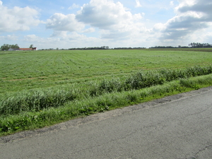 Landschap