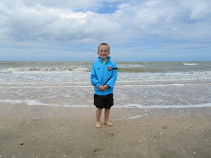 Joey in de Noordzee