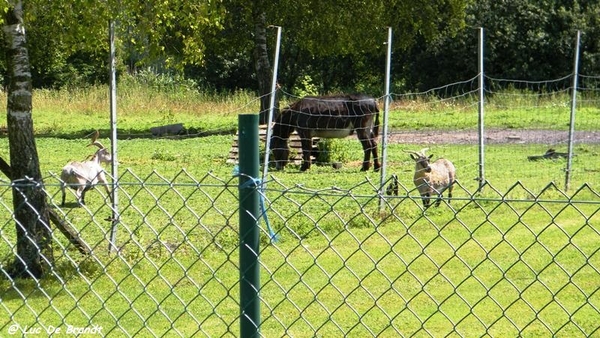 wsv sportvrienden denderleeuw schiptrekkerstocht