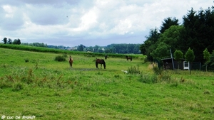 2012_07_09 Denderleeuw 025