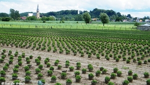 2012_07_09 Denderleeuw 030