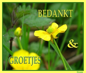 Fotokaart 005