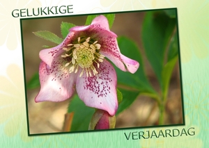 Fotokaart 015
