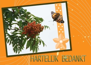 Fotokaart 018