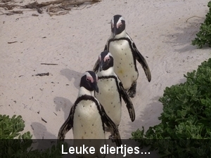 Hier zijn we dan...