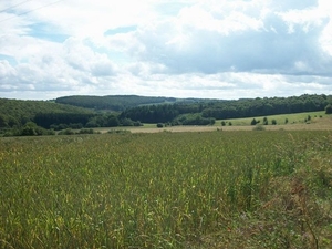 14-