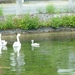 sized_P1110895