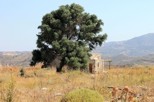 Burcht van Antimachia