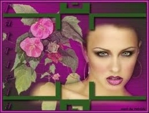 getimage2.php?imageid=2852754&albumid=43072&typeid=3