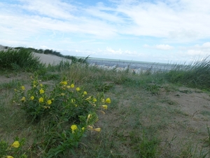 2012-07-11 Nieuwpoort 041