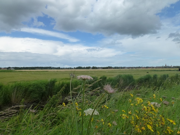 2012-07-11 Nieuwpoort 073