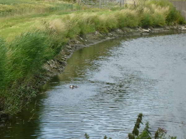 2012-07-11 Nieuwpoort 075