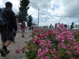 2012-07-11 Nieuwpoort 096