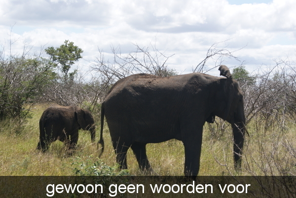 zuid afrika 042