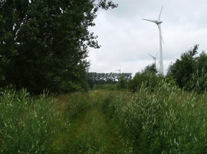Doornzele Juli 2012 002