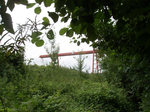 Doornzele Juli 2012 006