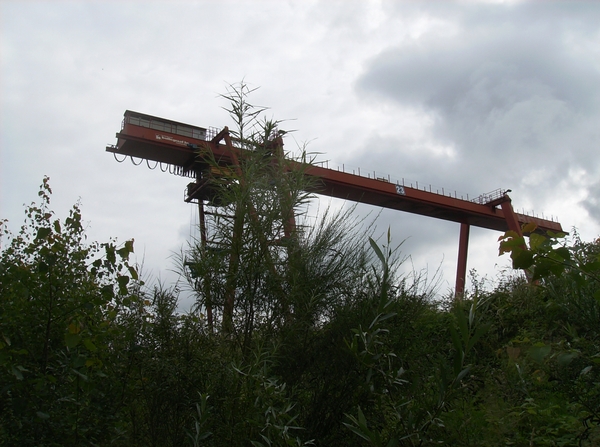 Doornzele Juli 2012 008
