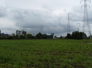 Doornzele Juli 2012 012