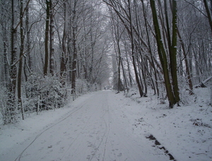 Winter 2004   0421