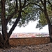 Lissabon - zicht over de stad van op Castelo de So Jorge