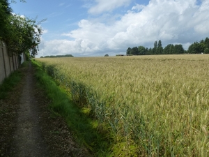 2012-07-13 Grimbergen 004