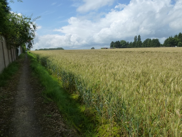 2012-07-13 Grimbergen 004