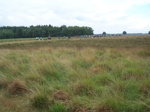 Fietsdriedaagse Appelscha 043