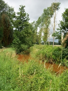 33-Rode Laak-rivier met hoog ijzergehalte in water